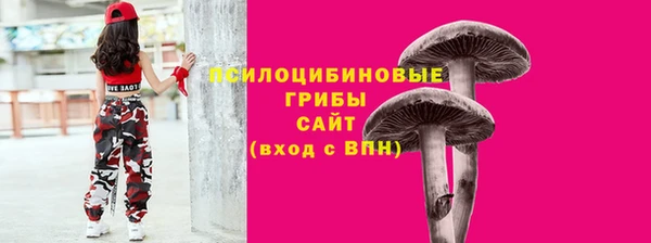 ПСИЛОЦИБИНОВЫЕ ГРИБЫ Протвино