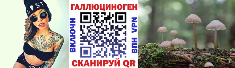 Галлюциногенные грибы Cubensis  цены наркотик  мега   Спасск-Рязанский 